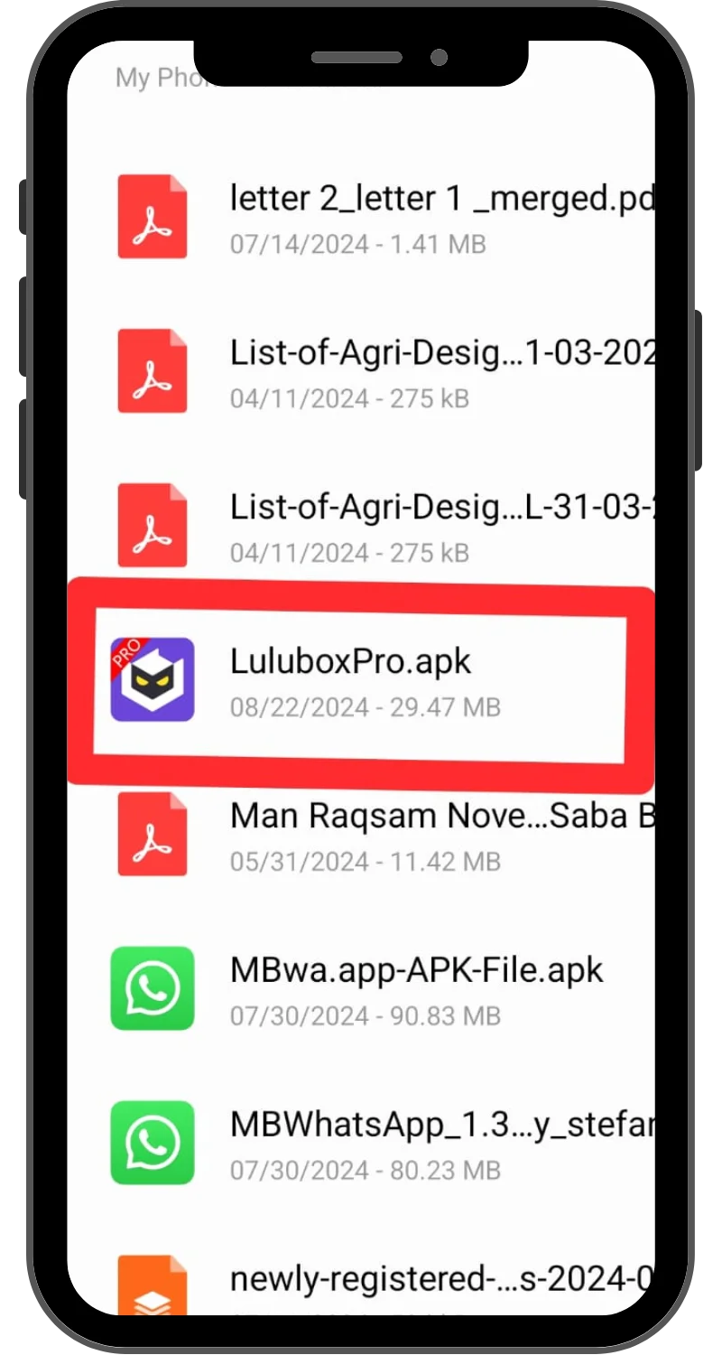 Lulubox Pro Apk (Step 4)